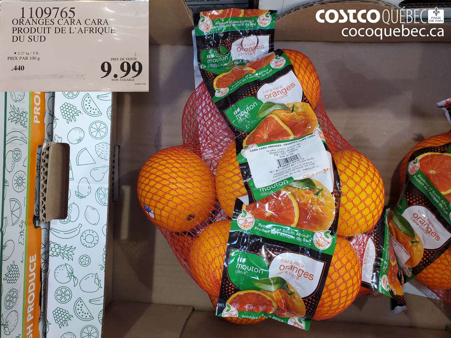 1109765 ORANGES CARA CARA PRODUIT DE L'AFRIQUE DU SUD $9.99