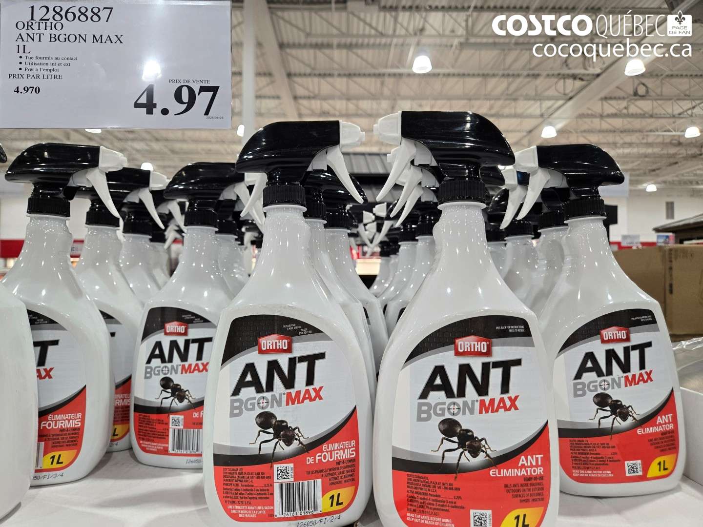 1286887 ORTHO ANT BGON MAX 1L $4.97