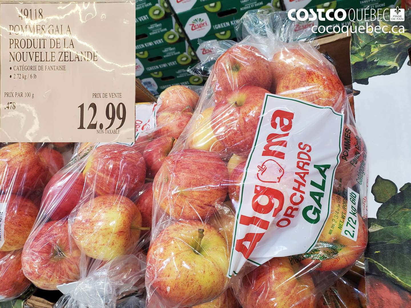 49118 POMMES GALA PRODUIT DE LA NOUVELLE ZELANDE $12.99