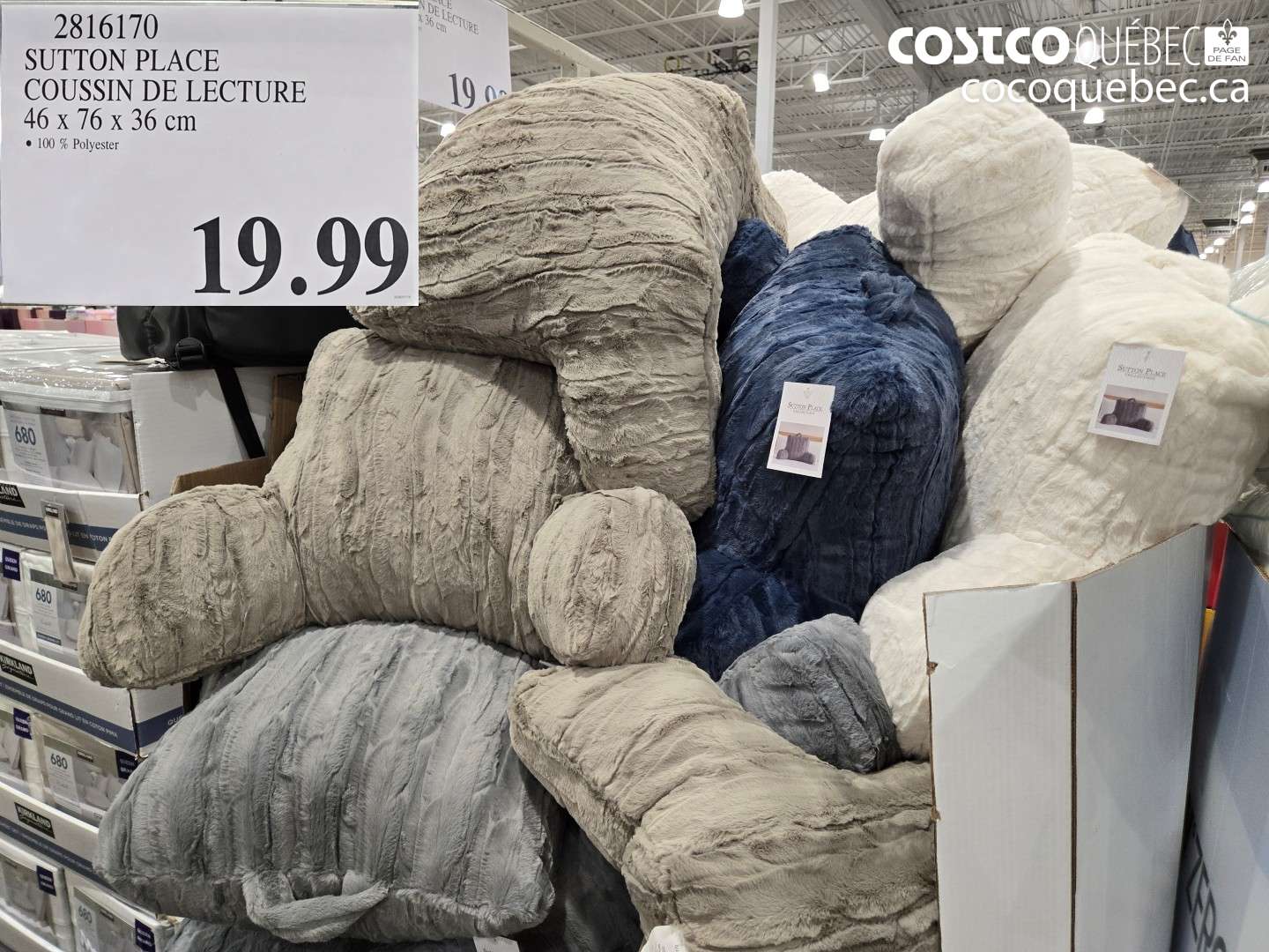 2816170 SUTTON PLACE COUSSIN DE LECTURE 46 X 76 X 36 CM $19.99