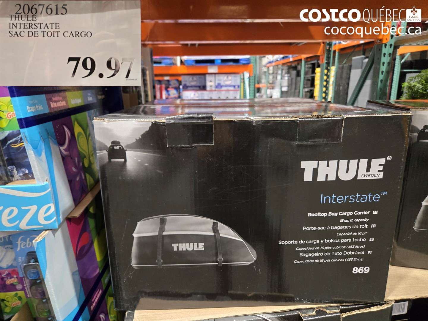 2067615 THULE INTERSTATE SAC DE TOIT CARGO $79.97