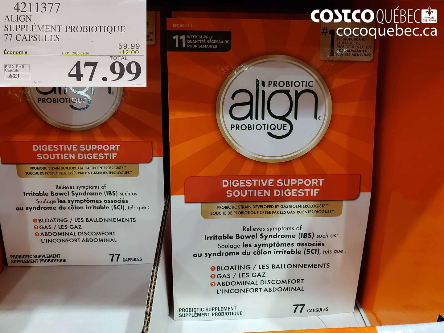 4211377 ALIGN SUPPLÉMENT PROBIOTIQUE 77 CAPSULES ($12.00 INSTANT SAVINGS EXPIRES ON 2026-08-30) $47.99