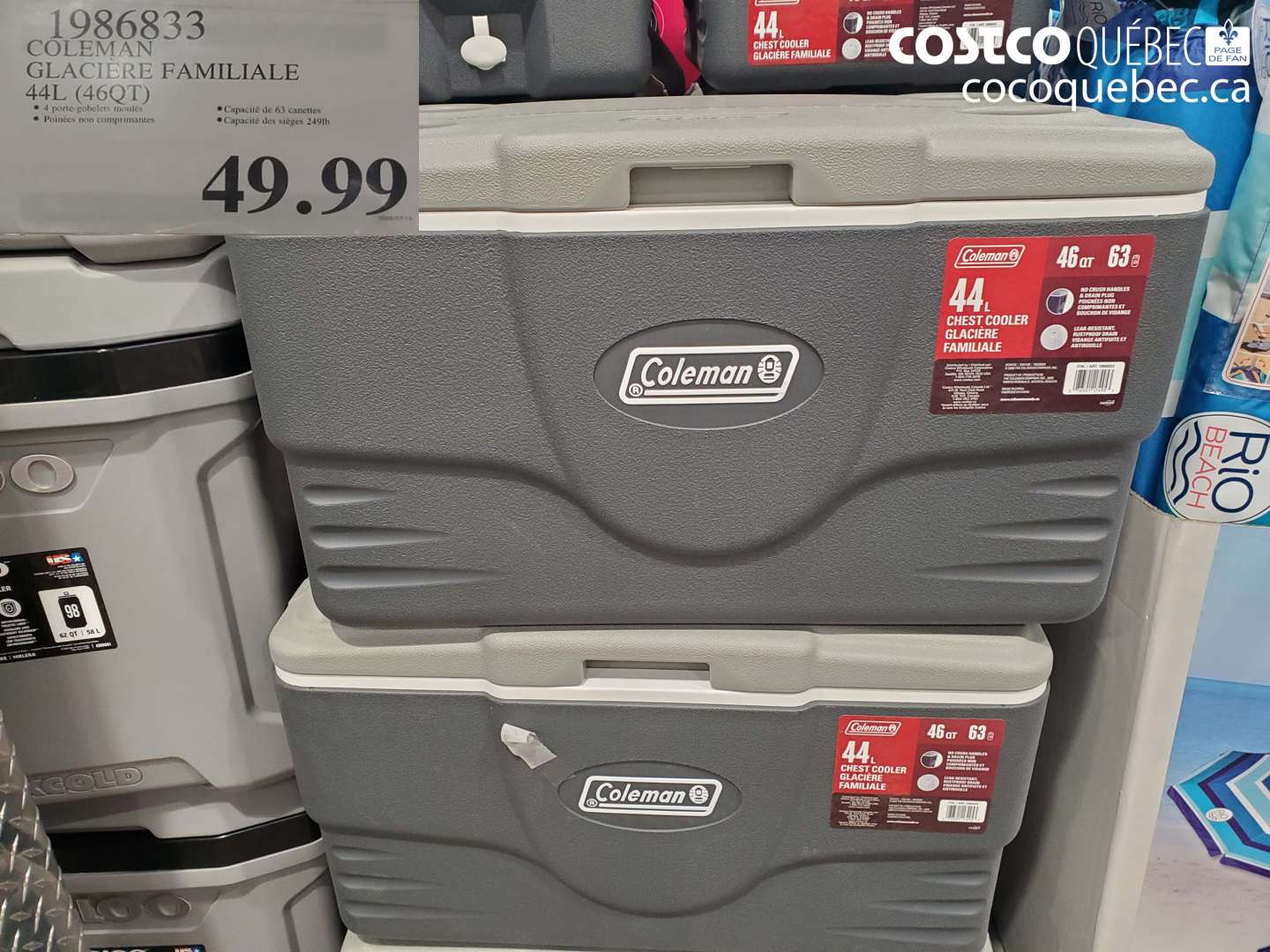 1986833 COLEMAN GLACIÈRE FAMILIALE 44L (46QT) $49.99