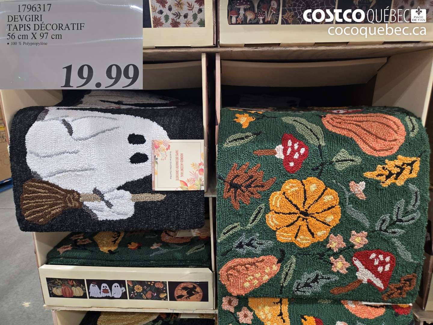 1796317 DEVGIRI TAPIS DÉCORATIF 56 CM X 97 CM $19.99