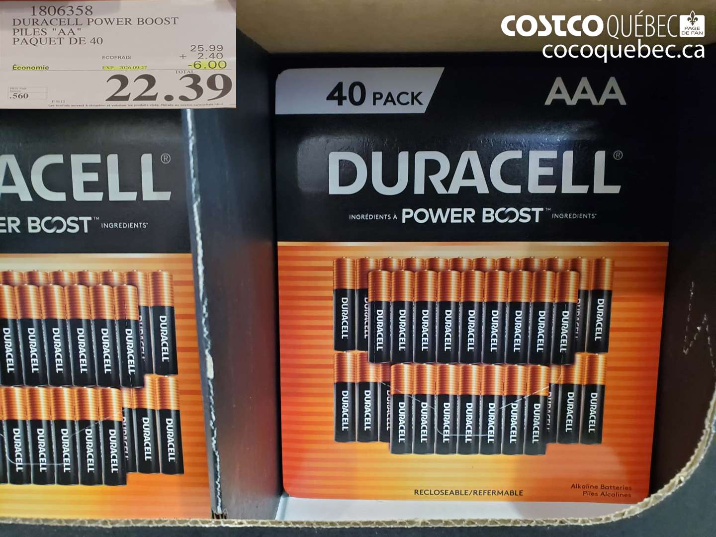 1806358 DURACELL POWER BOOST PILES 