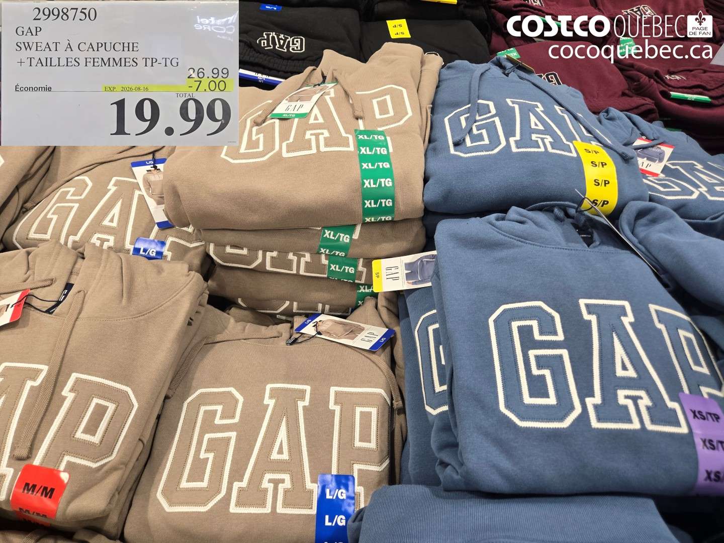 2998750 GAP SWEAT À CAPUCHE + TAILLES FEMMES TP-TG ($7.00 INSTANT SAVINGS EXPIRES ON 2026-08-16) $19.99