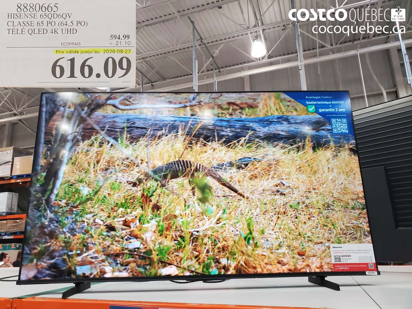 8880665 HISENSE 65QD6QV CLASSE 65 PO (64.5 PO) TÉLÉ QLED 4K UHD (EXPIRES ON 2026-08-27) $616.09