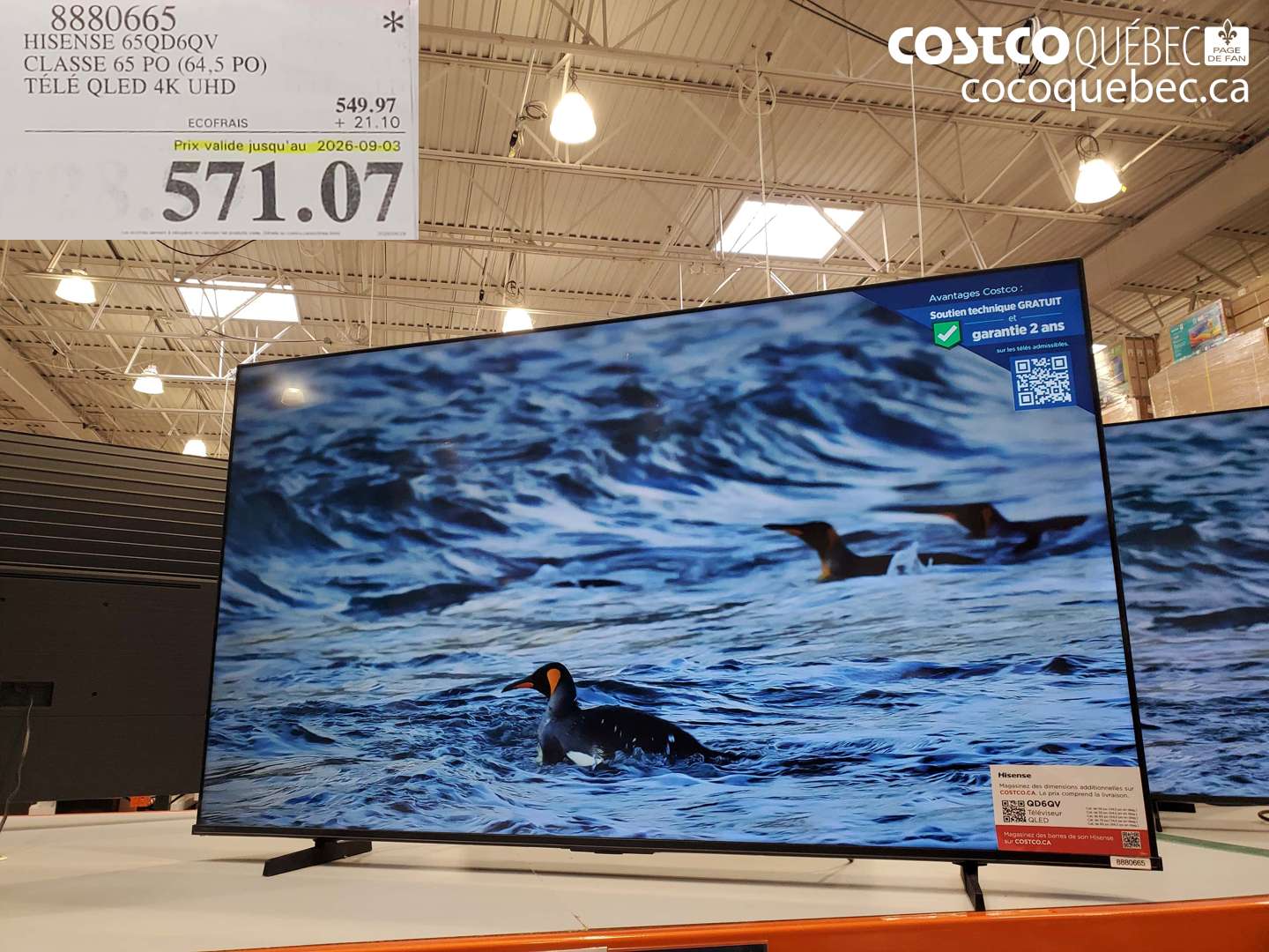 8880665 HISENSE 65QD6QV CLASSE 65 PO (64.5 PO) TÉLÉ QLED 4K UHD (EXPIRES ON 2026-09-03) $571.07