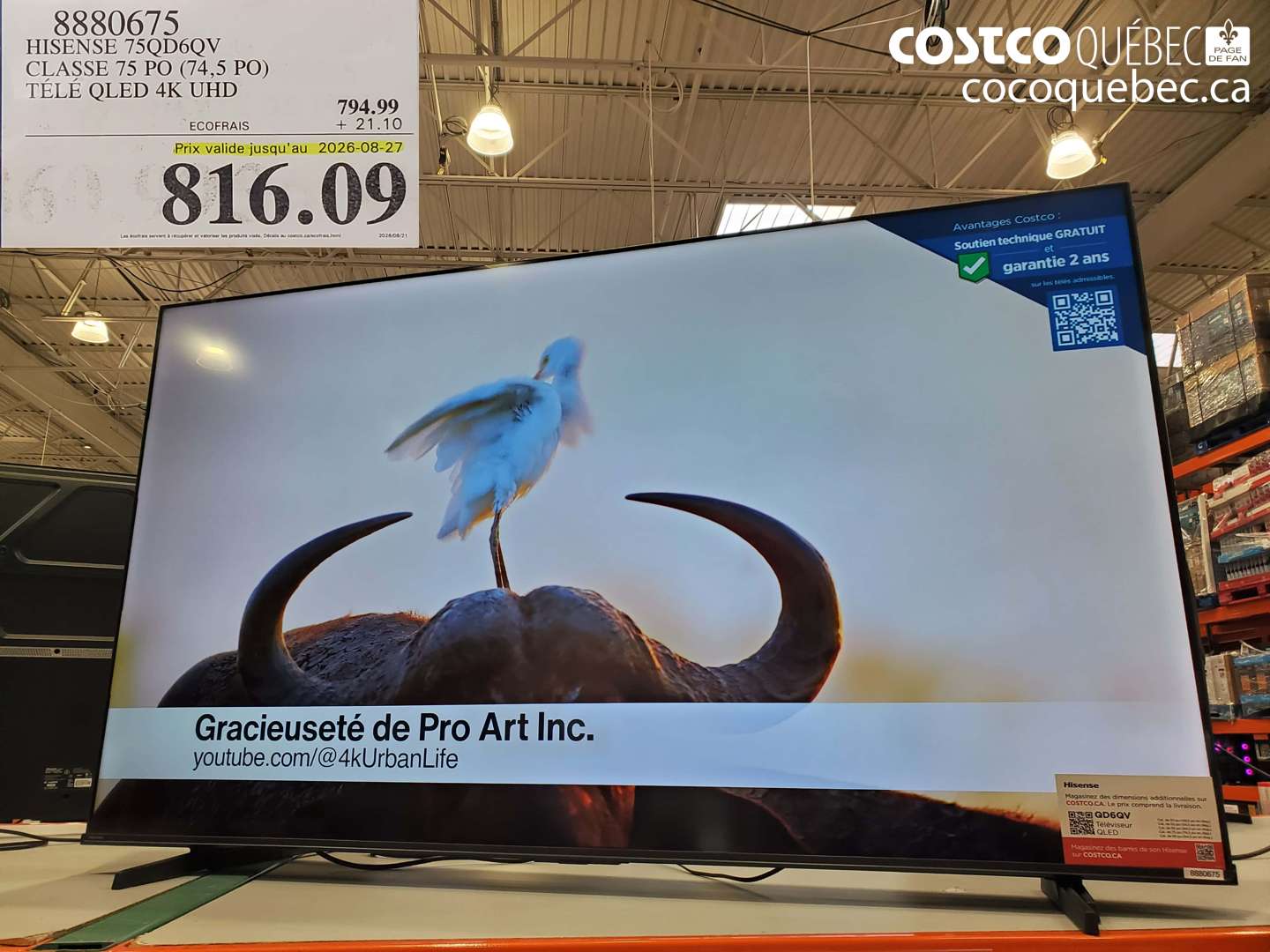 8880675 HISENSE 75QD6QV CLASSE 75 PO (74.5 PO) TÉLÉ QLED 4K UHD (EXPIRES ON 2026-08-27) $816.09