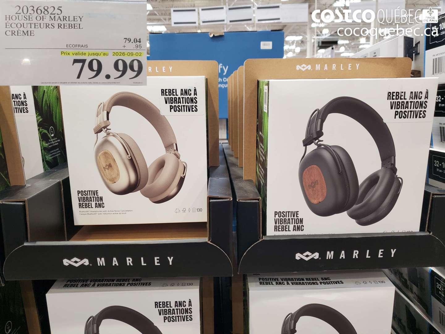 2036825 HOUSE OF MARLEY ÉCOUTEURS REBEL CRÈME (EXPIRES ON 2026-09-02) $79.99