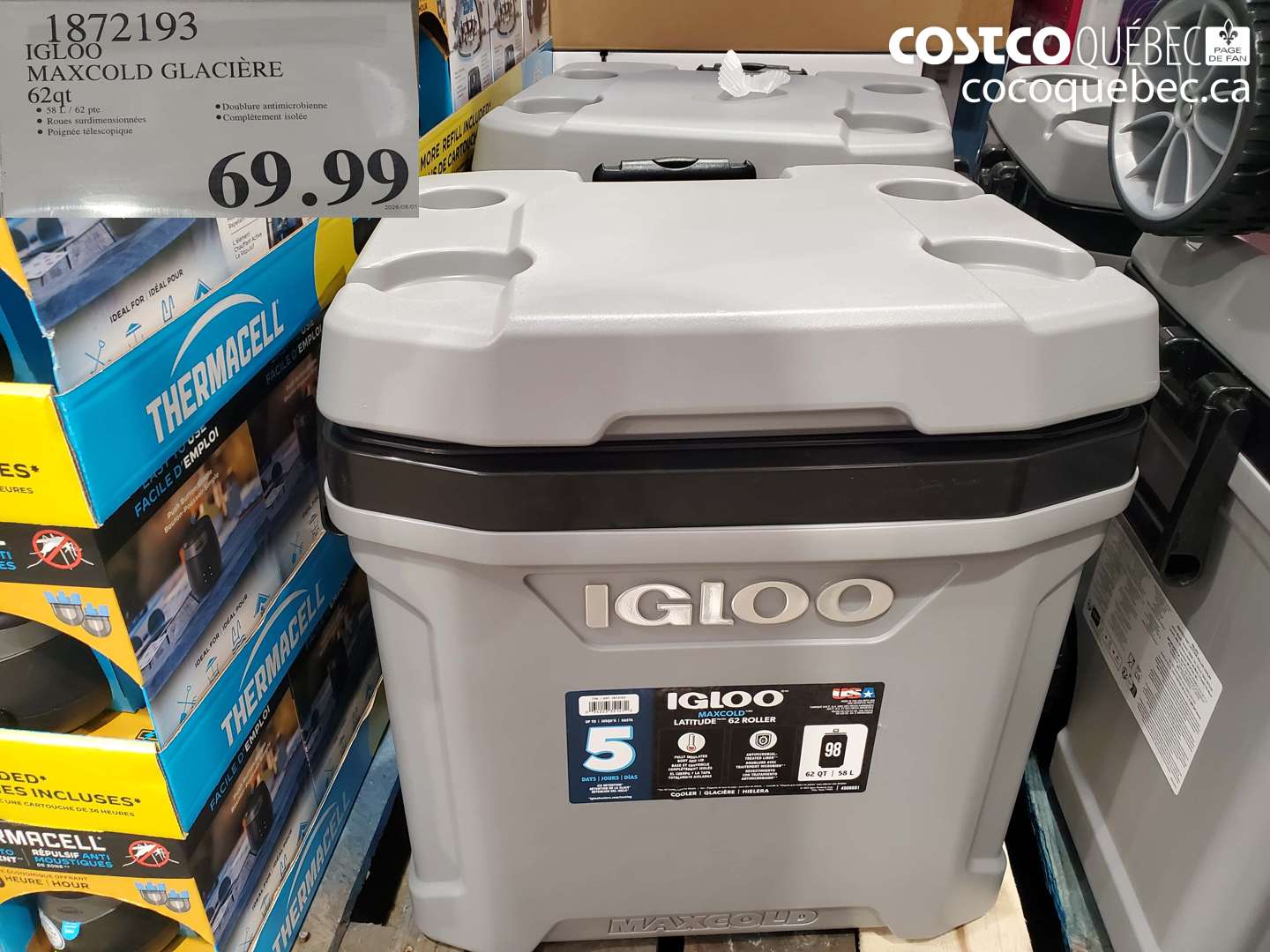 1872193 IGLOO MAXCOLD GLACIÈRE 62QT $69.99