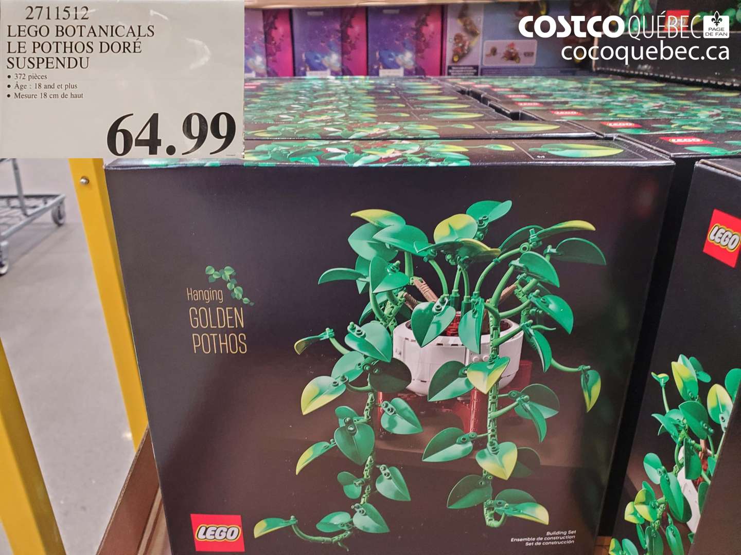 2711512 LEGO BOTANICALS LE POTHOS DORÉ SUSPENDU $64.99