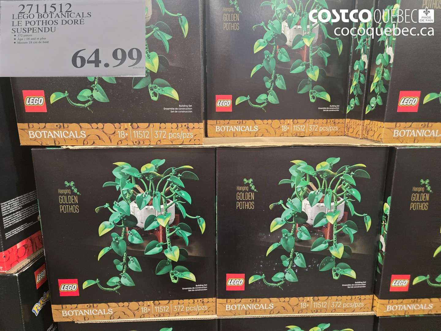 2711512 LEGO BOTANICALS LE POTHOS DORÉ SUSPENDU $64.99