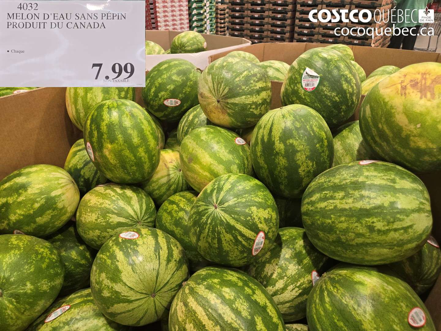 4032 MELON D'EAU SANS PÉPIN PRODUIT DU CANADA $7.99