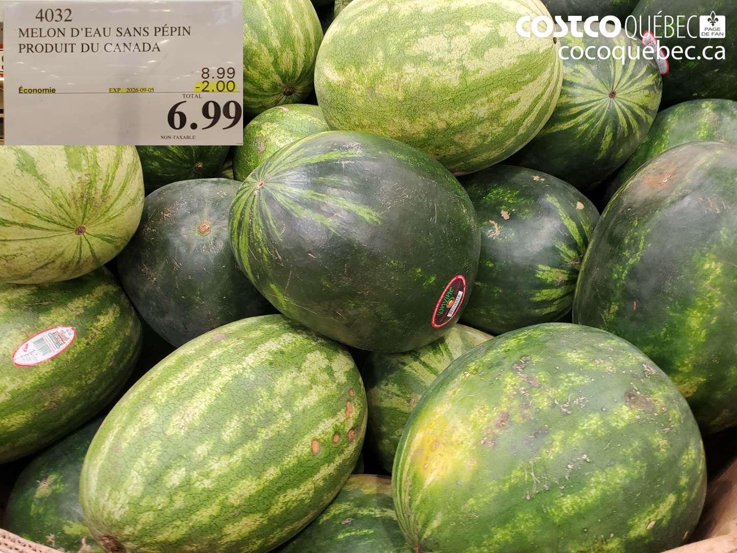 4032 MELON D'EAU SANS PEPIN PRODUIT DU CANADA ($2.00 INSTANT SAVINGS EXPIRES ON 2026-09-05) $6.99