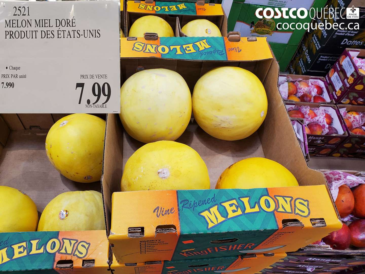 2521 MELON MIEL DORÉ PRODUIT DES ÉTATS-UNIS $7.99