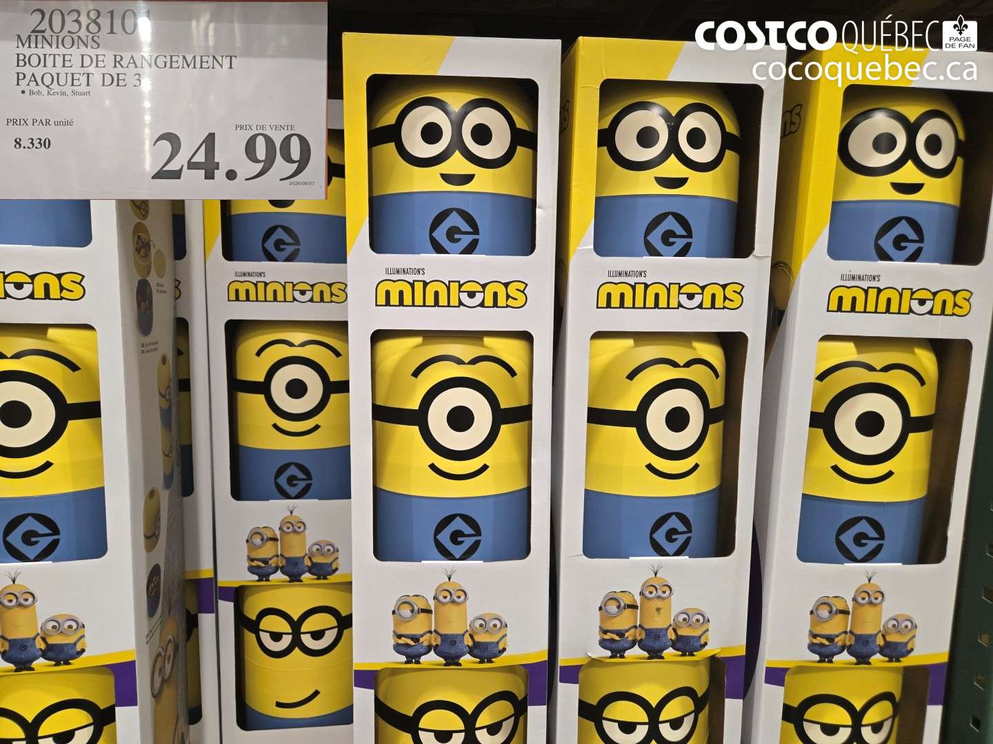 2038101 MINIONS BOITE DE RANGEMENT PAQUET DE 3 OFF $26.99