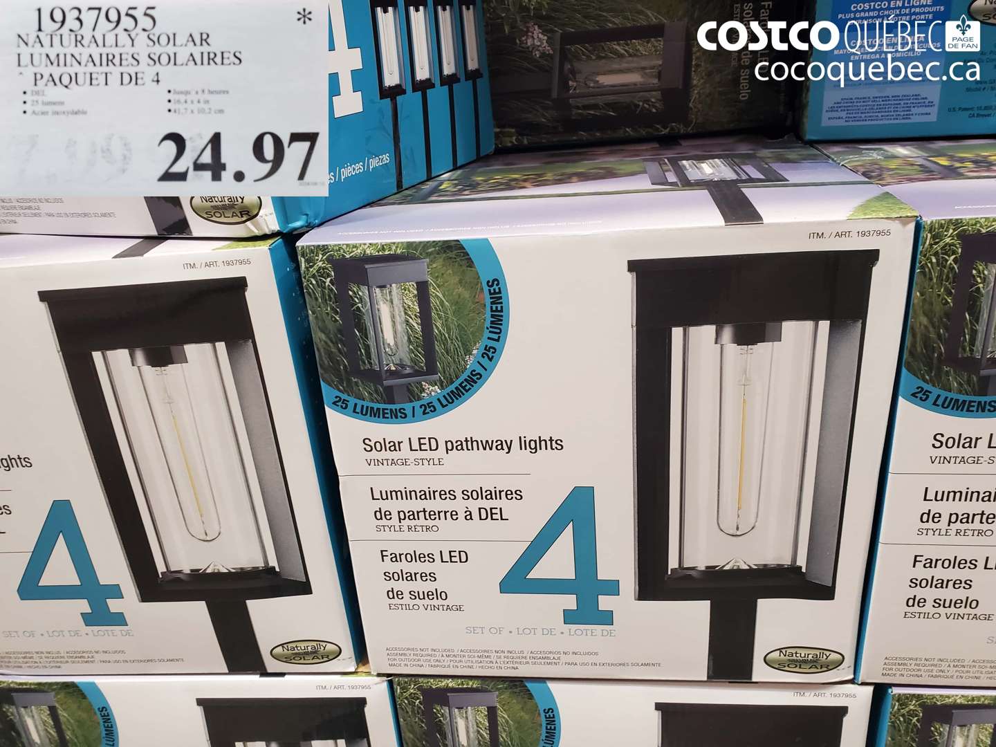 1937955 NATURALLY SOLAR LUMINAIRES SOLAIRES PAQUET DE 4 $24.97