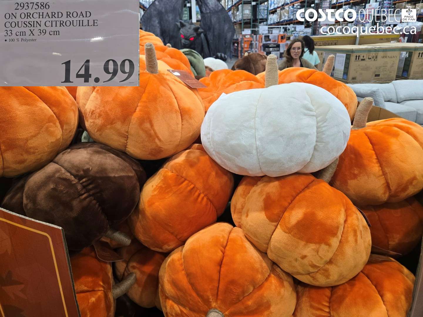 2937586 ON ORCHARD ROAD COUSSIN CITROUILLE $14.99