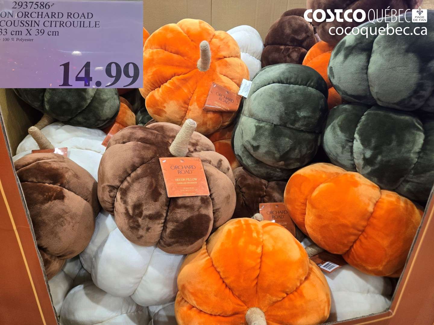 2937586 ORCHARD ROAD COUSSIN CITROUILLE $14.99
