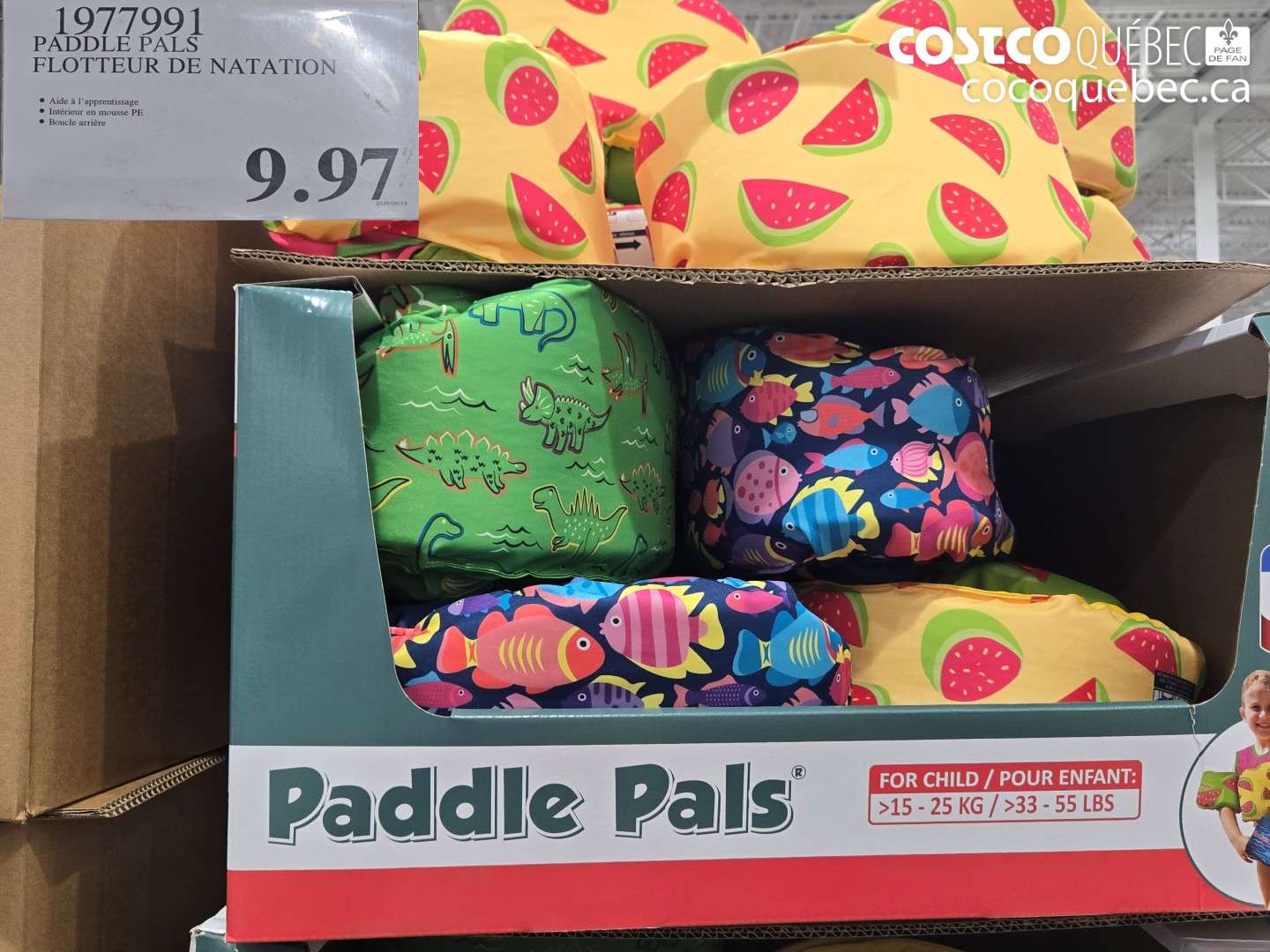 1977991 PADDLE PALS FLOTTEUR DE NATATION $9.97