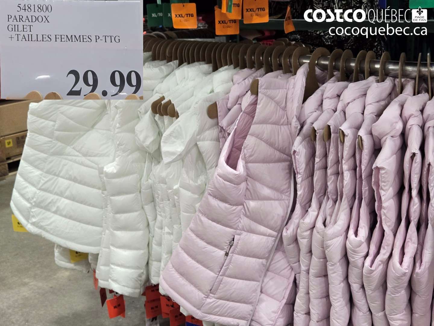 5481800 PARADOX GILET $29.99