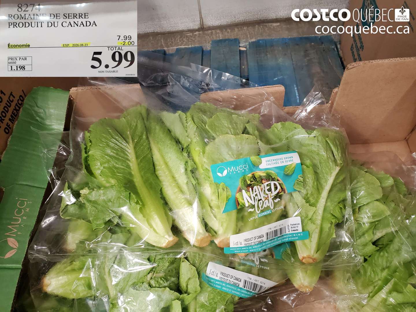 8274 ROMAINE DE SERRE PRODUIT DU CANADA ($2.00 INSTANT SAVINGS EXPIRES ON 2026-08-23) $5.99