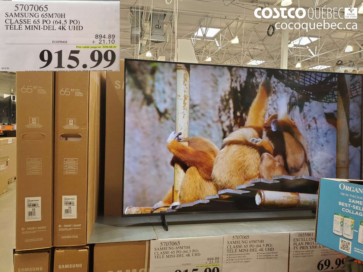 5707065 SAMSUNG 65M70H CLASSE 65 PO (64.5 PO) TÉLÉ MINI-DEL 4K UHD (EXPIRES ON 2026-08-20) $915.99