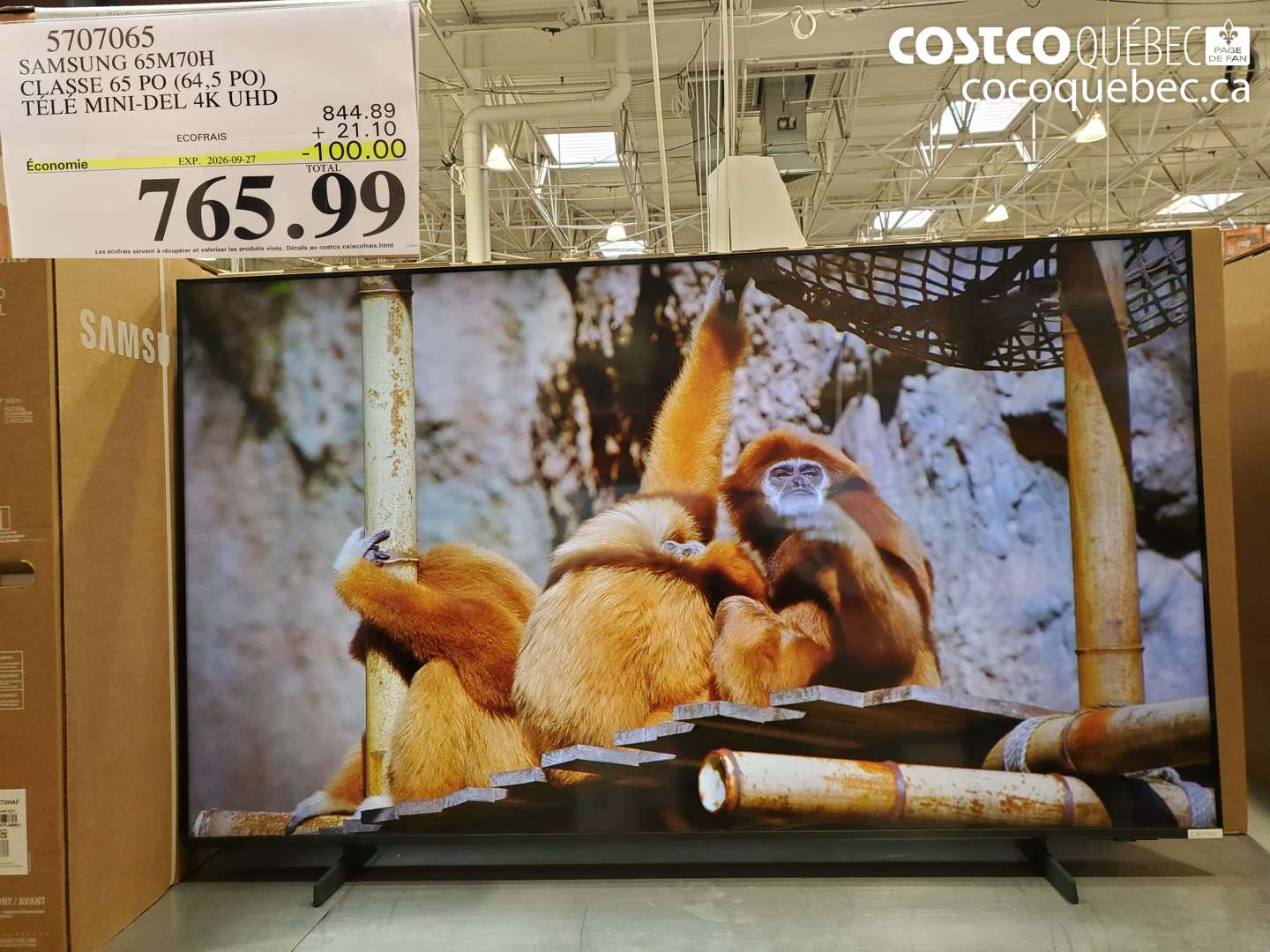 5707065 SAMSUNG 65M70H CLASSE 65 PO (64.5 PO) TÉLÉ MINI-DEL 4K UHD ($100.00 INSTANT SAVINGS EXPIRES ON 2026-09-27) $765.99