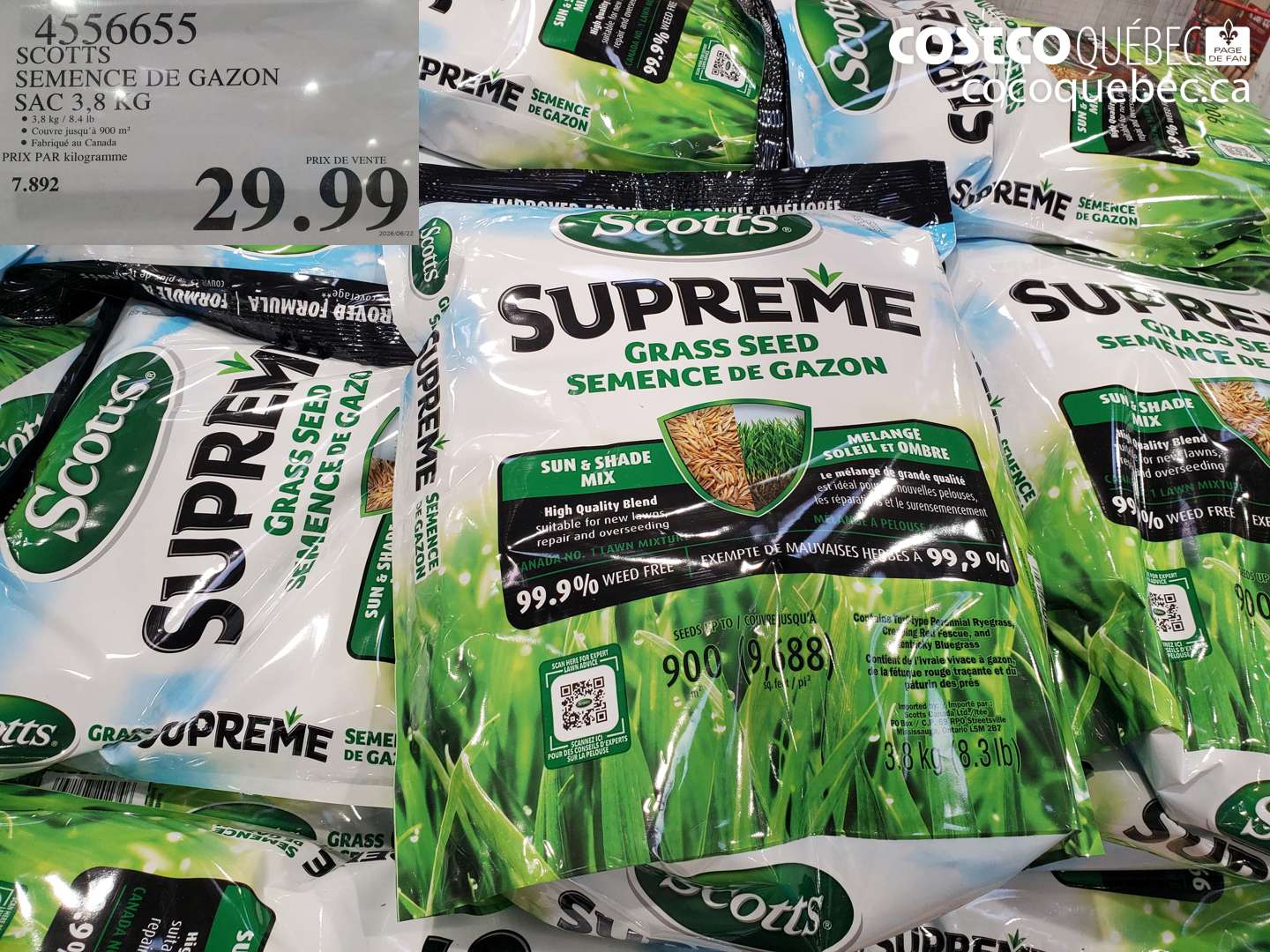 4556655 SCOTTS SEMENCE DE GAZON SAC 3.8 KG $29.99