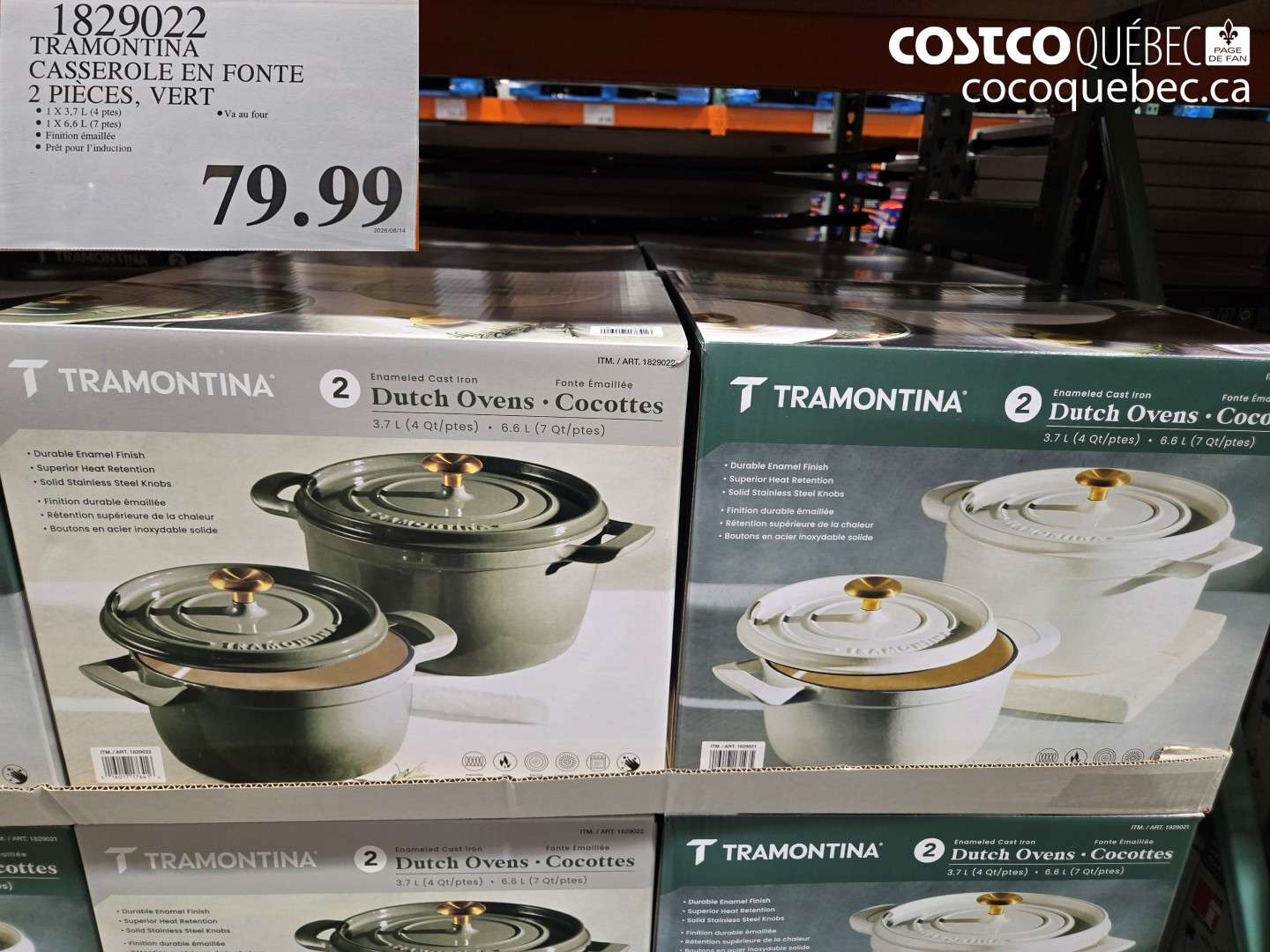 1829022 TRAMONTINA CASSEROLE EN FONTE 2 PIÈCES, VERT $79.99