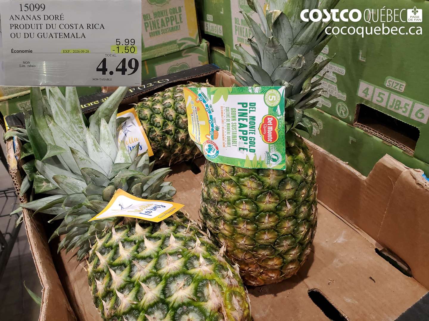 15099 ANANAS DORÉ ($1.50 INSTANT SAVINGS EXPIRES ON 2026-09-28) $4.49
