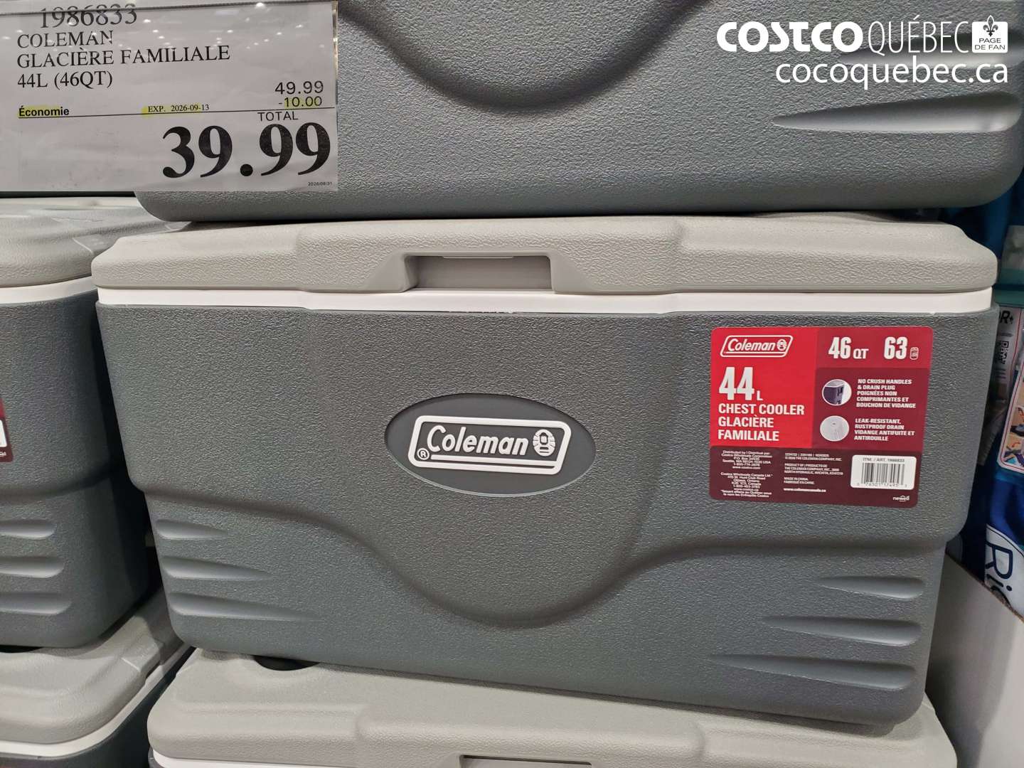 1986833 COLEMAN GLACIÈRE FAMILIALE 44L (46QT) $39.99
