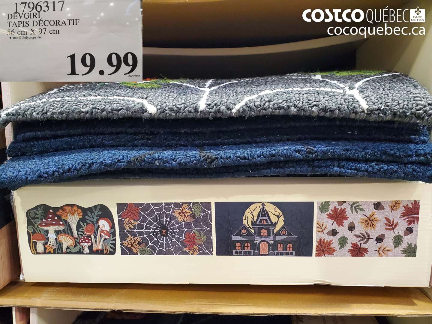 1796317 DEVGIRI TAPIS DÉCORATIF 56 CM X 97 CM $19.99
