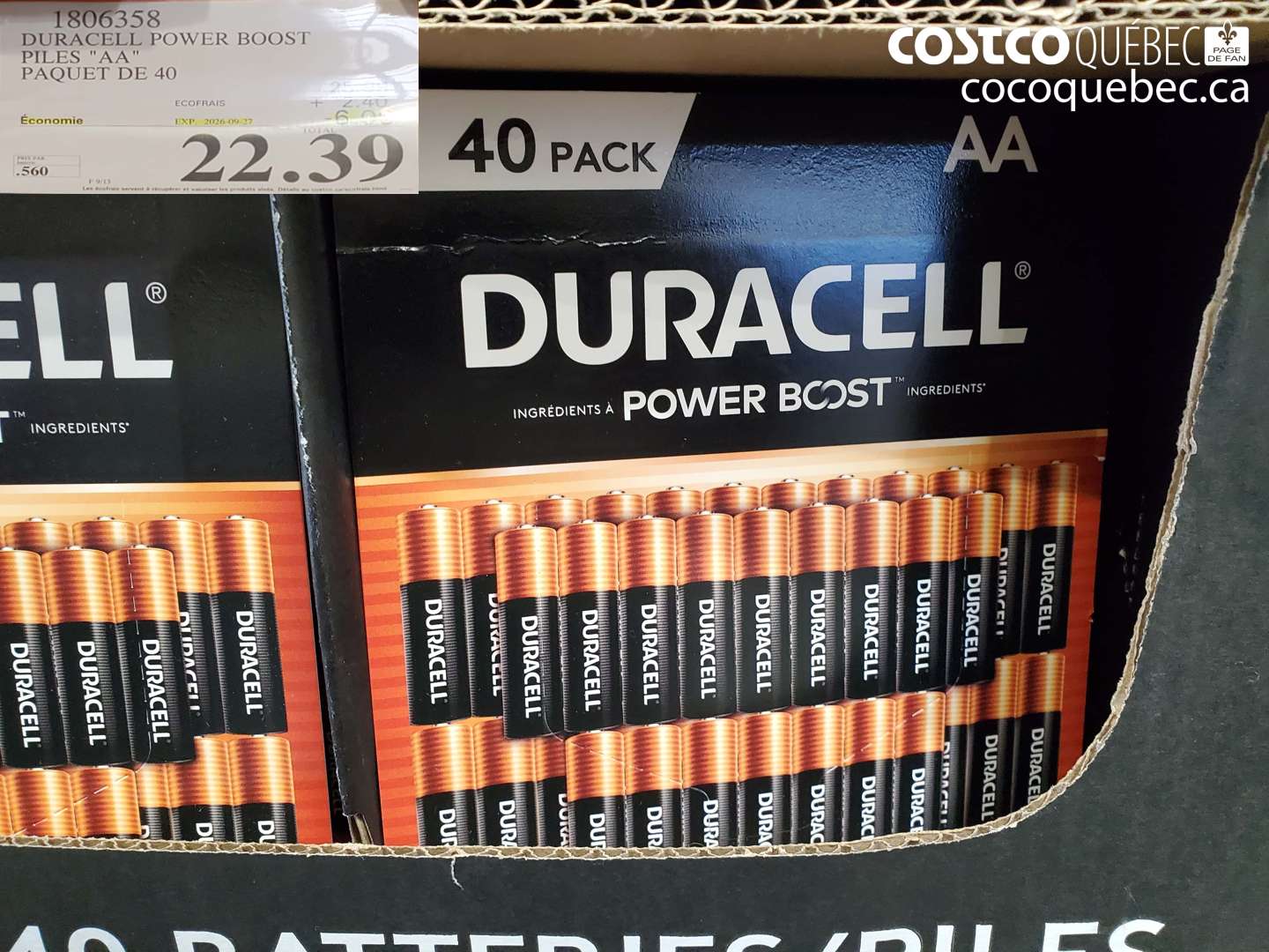 1806358 DURACELL POWER BOOST PILES 