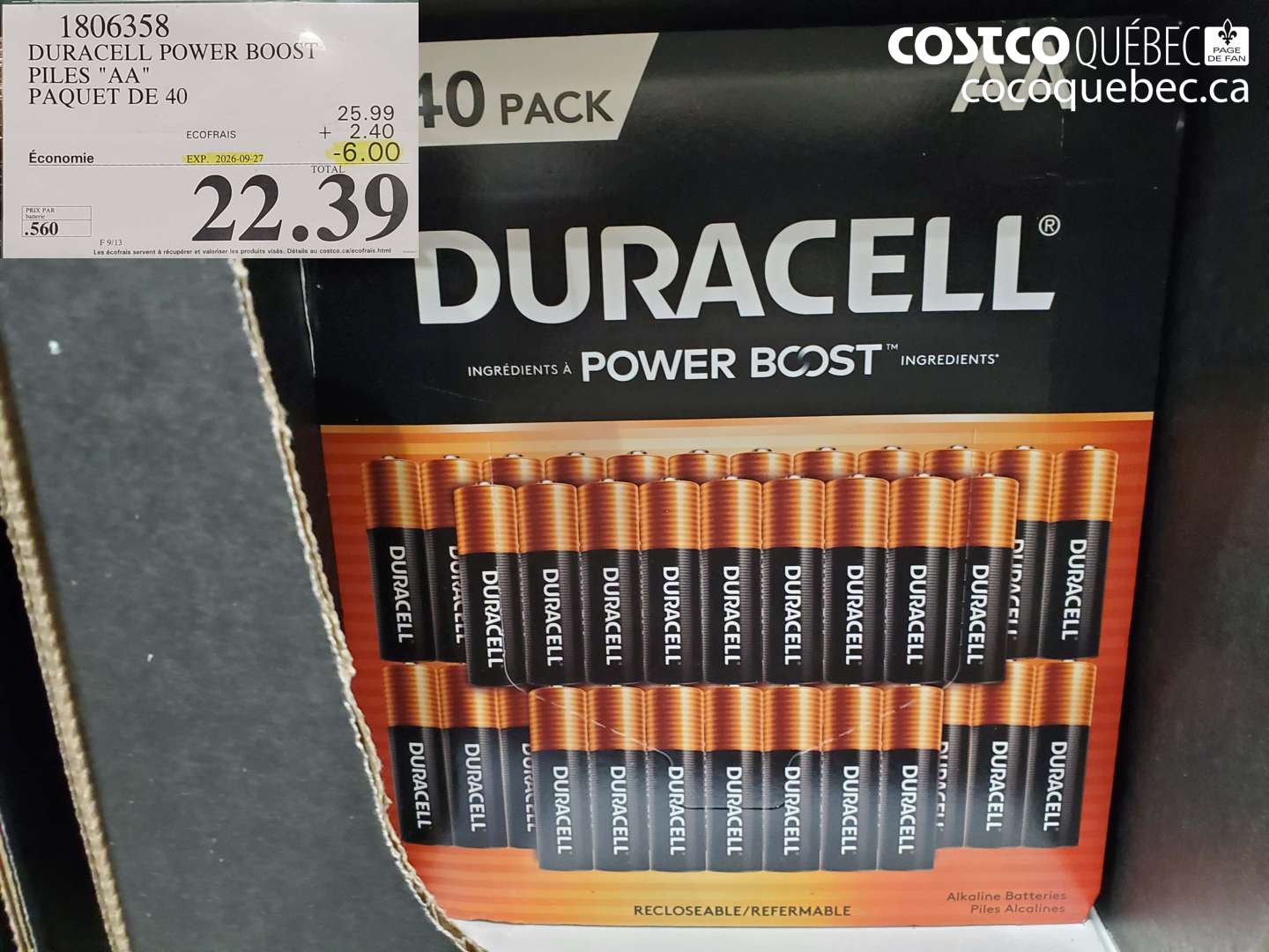 1806358 DURACELL POWER BOOST PILES 
