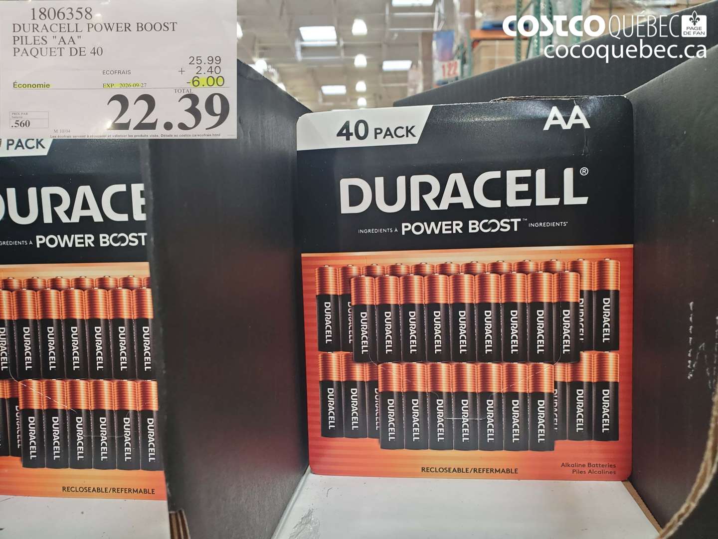 1806358 DURACELL POWER BOOST PILES