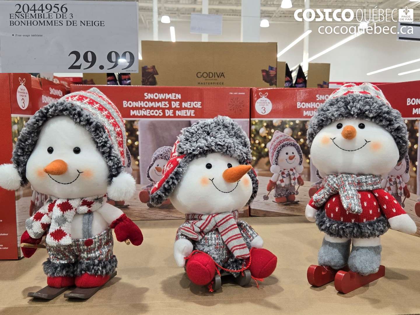 2044956 ENSEMBLE DE 3 BONHOMMES DE NEIGE $29.99