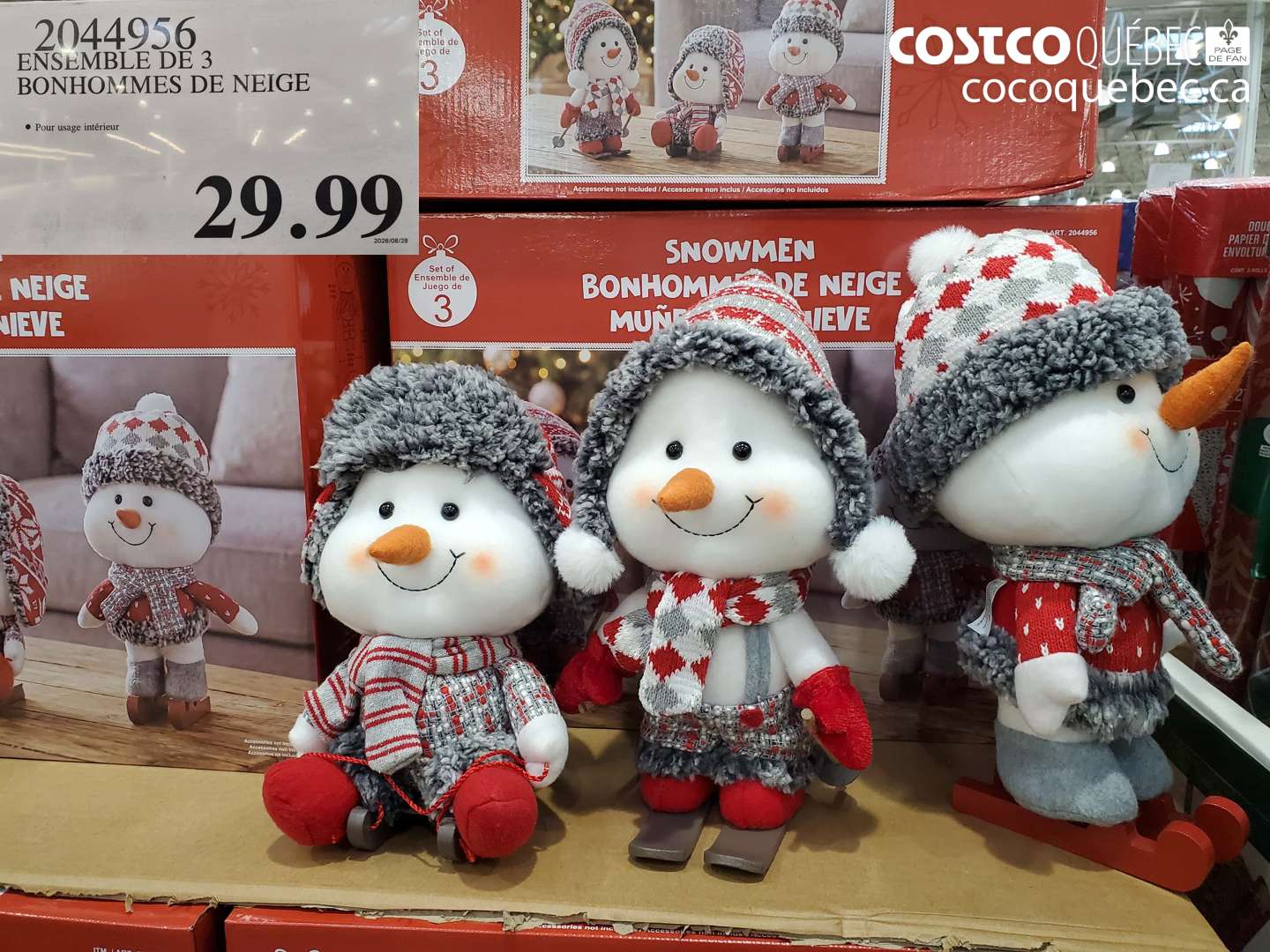2044956 ENSEMBLE DE 3 BONHOMMES DE NEIGE $29.99