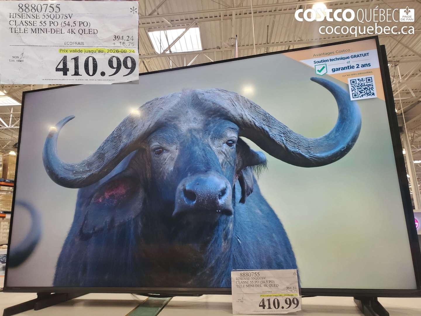 8880755 HISENSE 55QD7SV CLASSE 55 PO (54.5 PO) TÉLÉ MINI-DEL 4K QLED (EXPIRES ON 2026-09-24) $410.99
