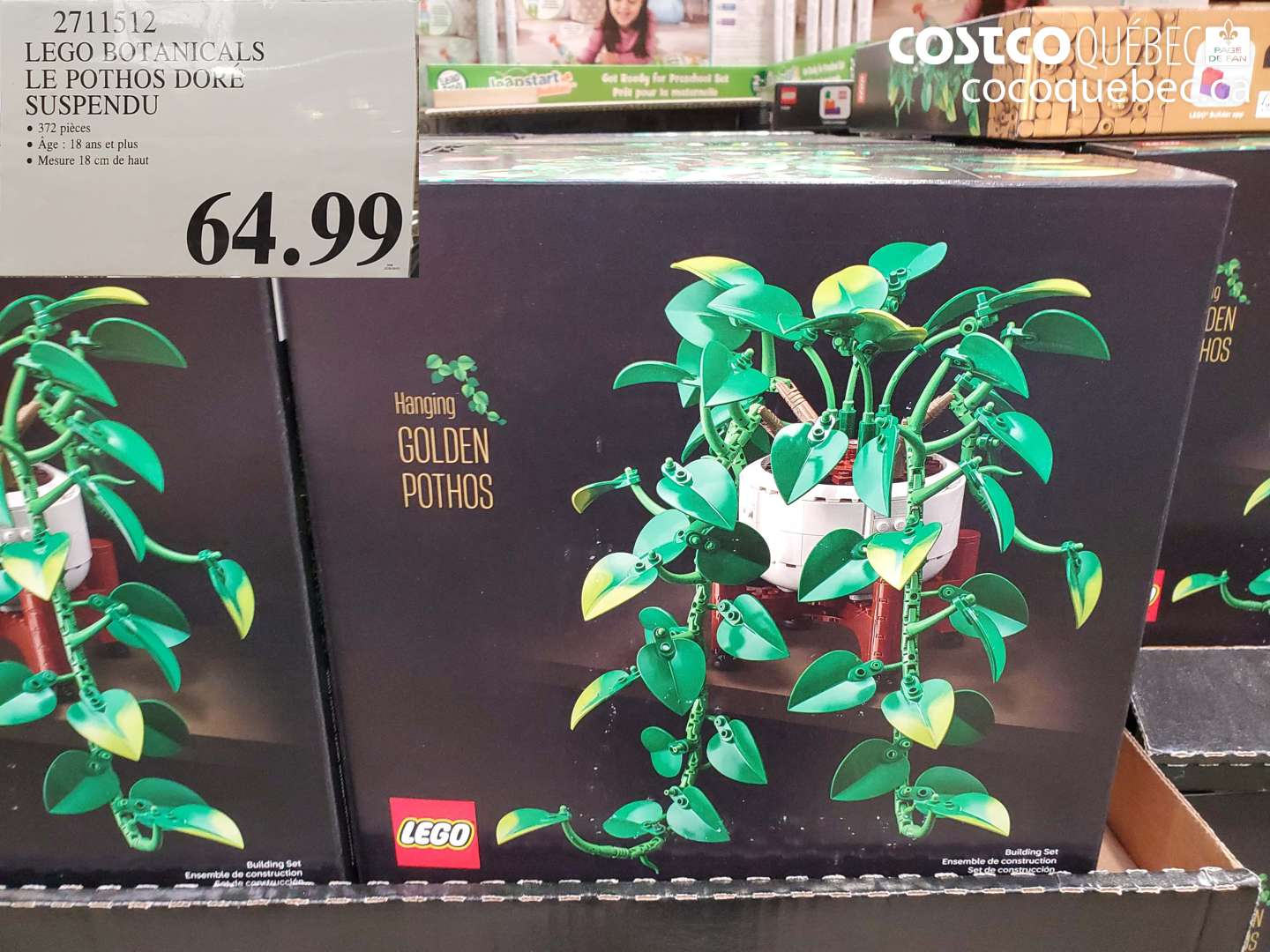 2711512 LEGO BOTANICALS LE POTHOS DORÉ SUSPENDU $64.99