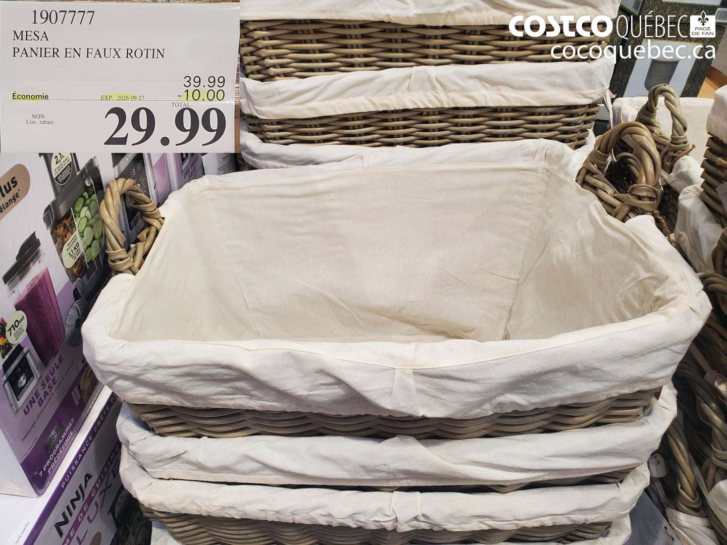 1907777 MESA PANIER EN FAUX ROTIN ($10.00 INSTANT SAVINGS EXPIRES ON 2026-09-27) $29.99