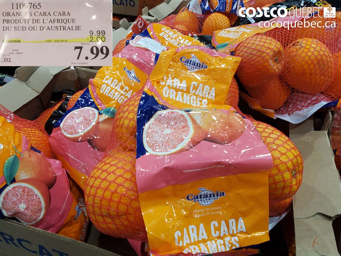 1109765 ORANGES CARA CARA ($2.00 INSTANT SAVINGS EXPIRES ON 2026-09-20) $7.99
