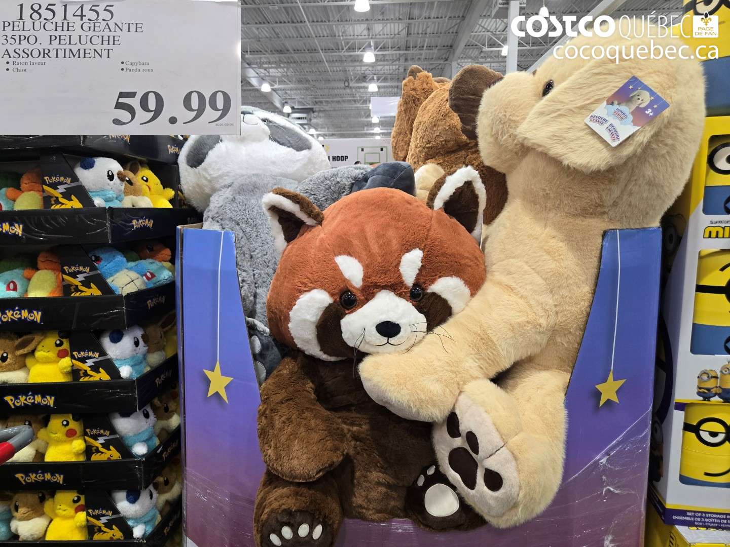 1851455 PELUCHE GÉANTE 35PO. PELUCHE ASSORTIMENT $59.99