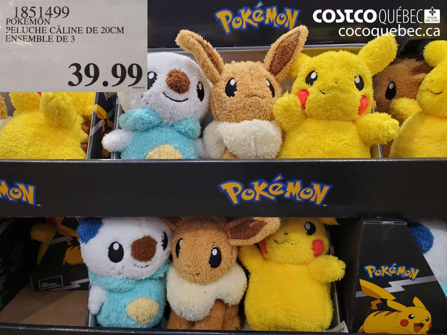 1851499 POKEMON PELUCHE CÂLINE DE 20CM ENSEMBLE DE 3 $39.99