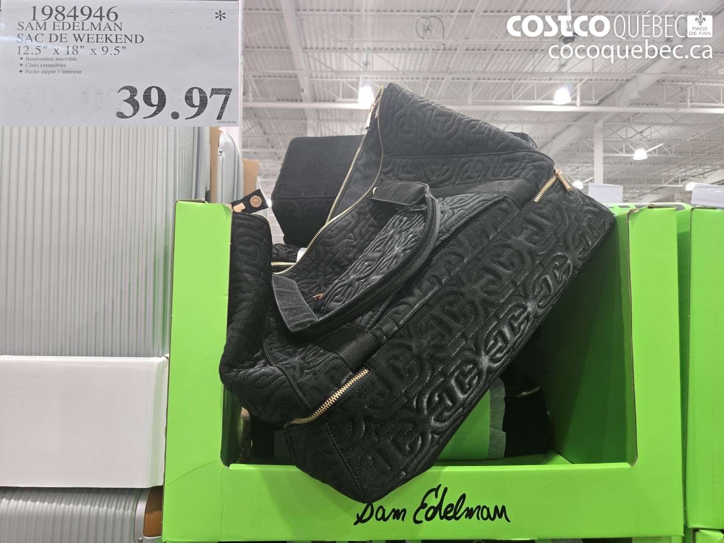 1984946 SAM EDELMAN SAC DE WEEKEND 12.5