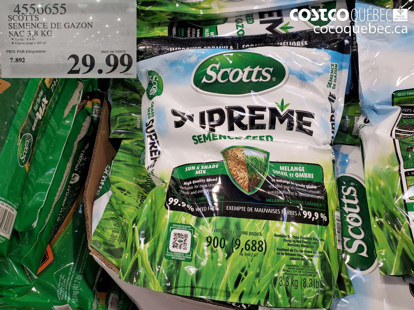 4556655 SCOTTS SEMENCE DE GAZON SAC 3.8 KG $29.99