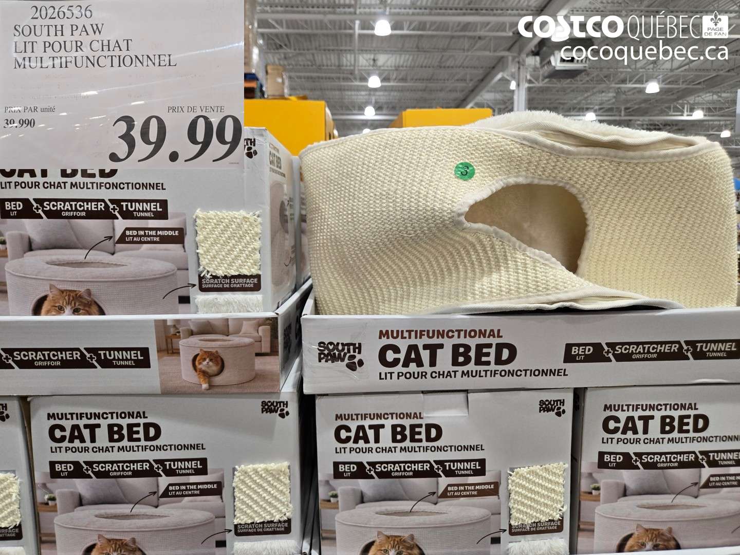 2026536 SOUTH PAW LIT POUR CHAT MULTIFUNCTIONNEL $39.99