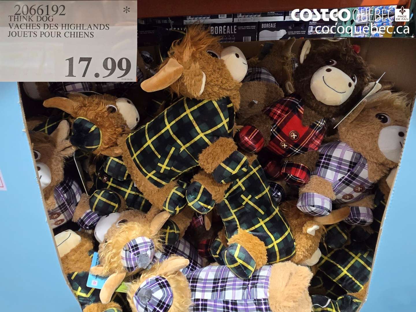 2066192 THINK DOG VACHES DES HIGHLANDS JOUETS POUR CHIENS $17.99