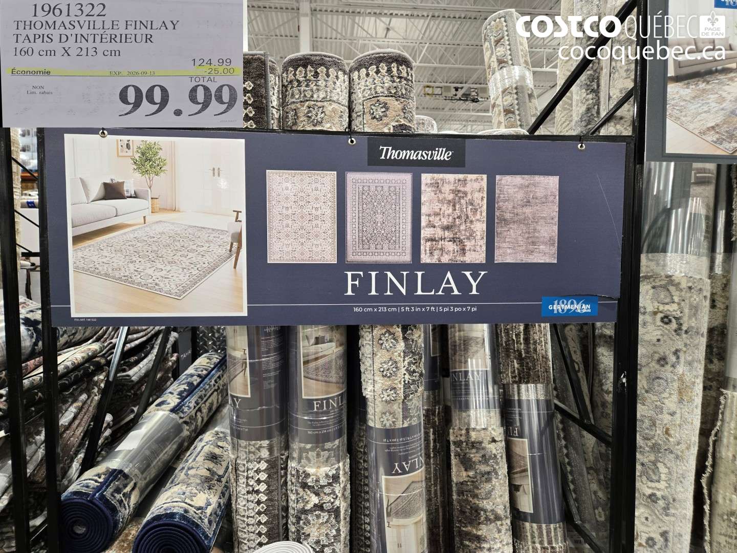 1961322 THOMASVILLE FINLAY TAPIS D'INTÉRIEUR ($25.00 INSTANT SAVINGS EXPIRES ON 2026-09-13) $99.99
